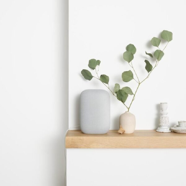 Nest Audio